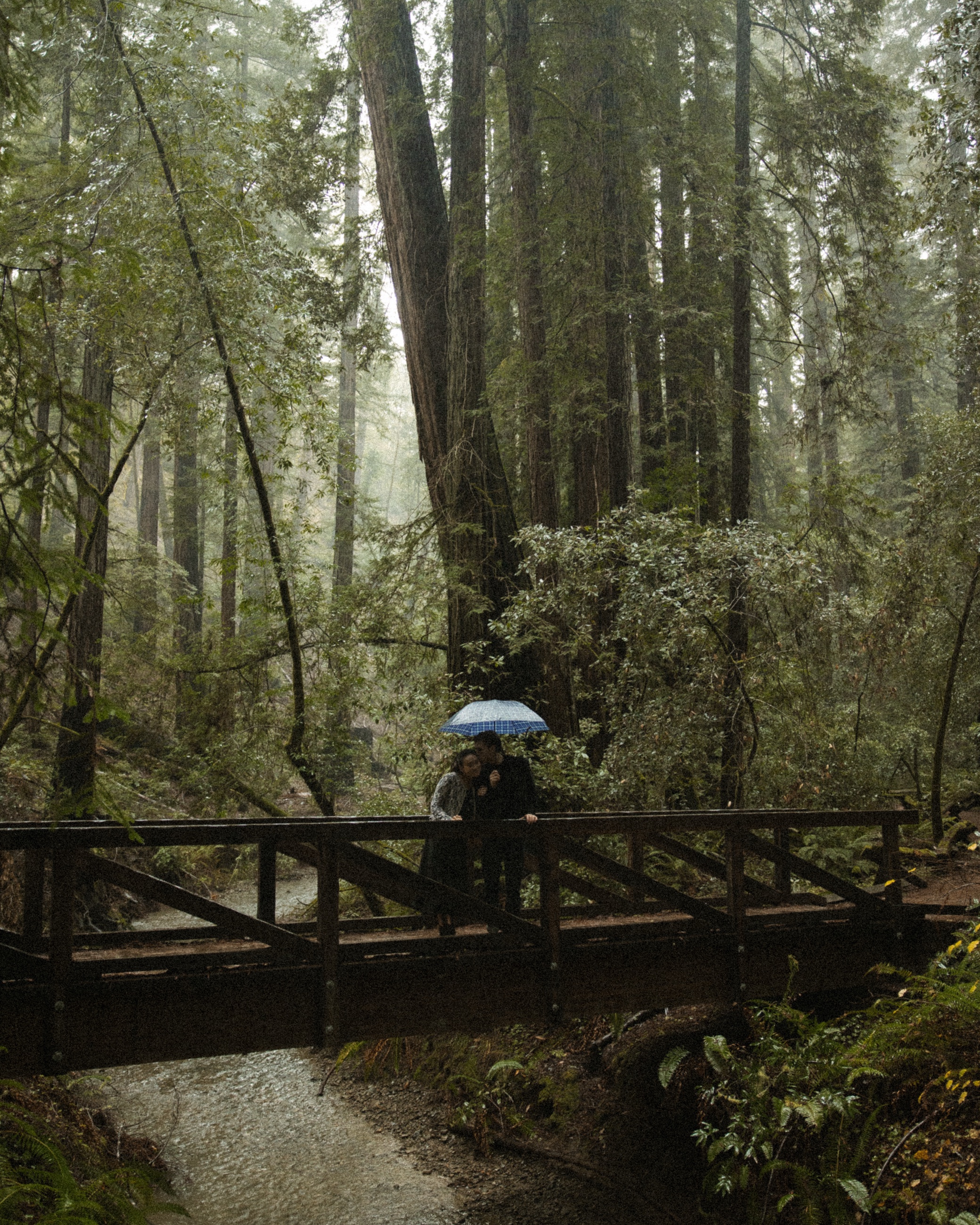 The footbridge in fog