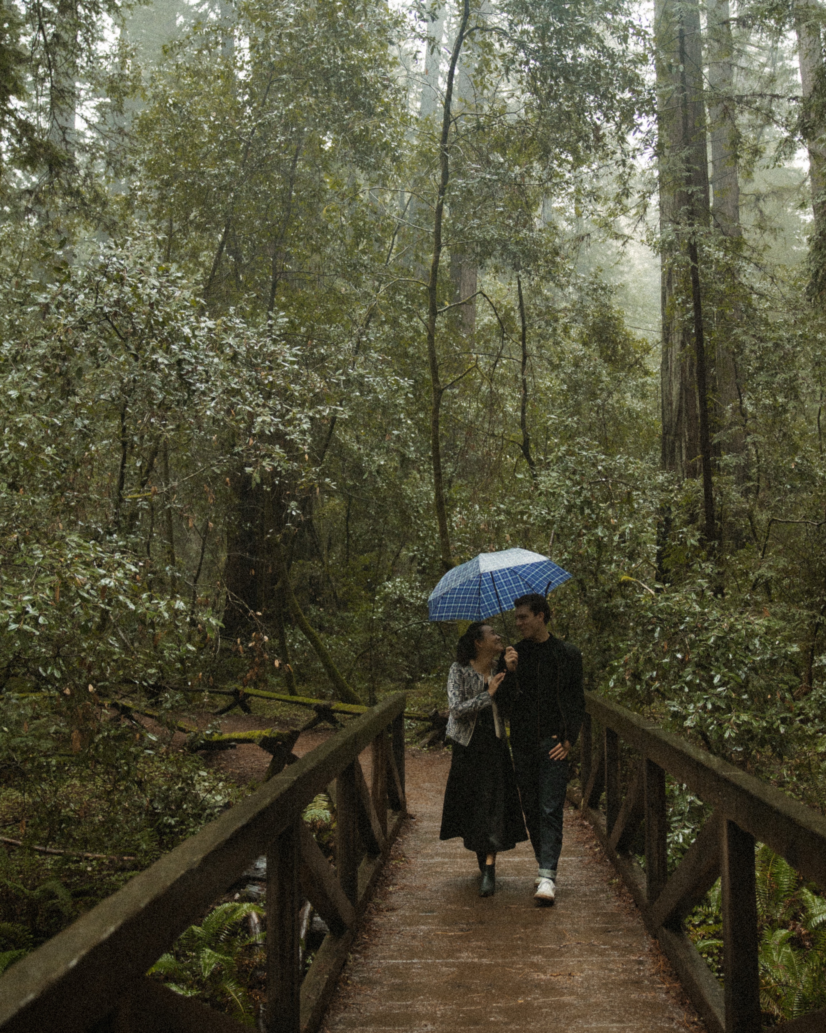 Laura and Eric under an umbrella on a footbridge in the redwoods