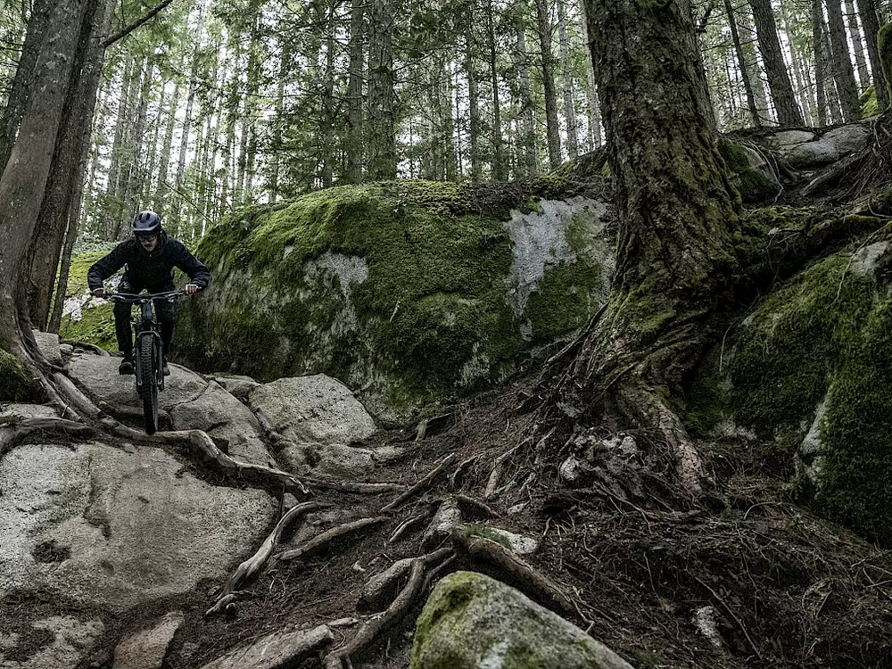A mountain biker riding over roots and mossy rock in the forest